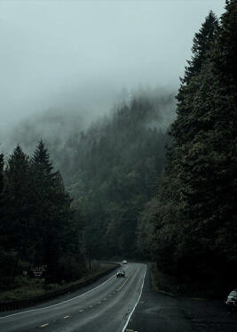 Weather