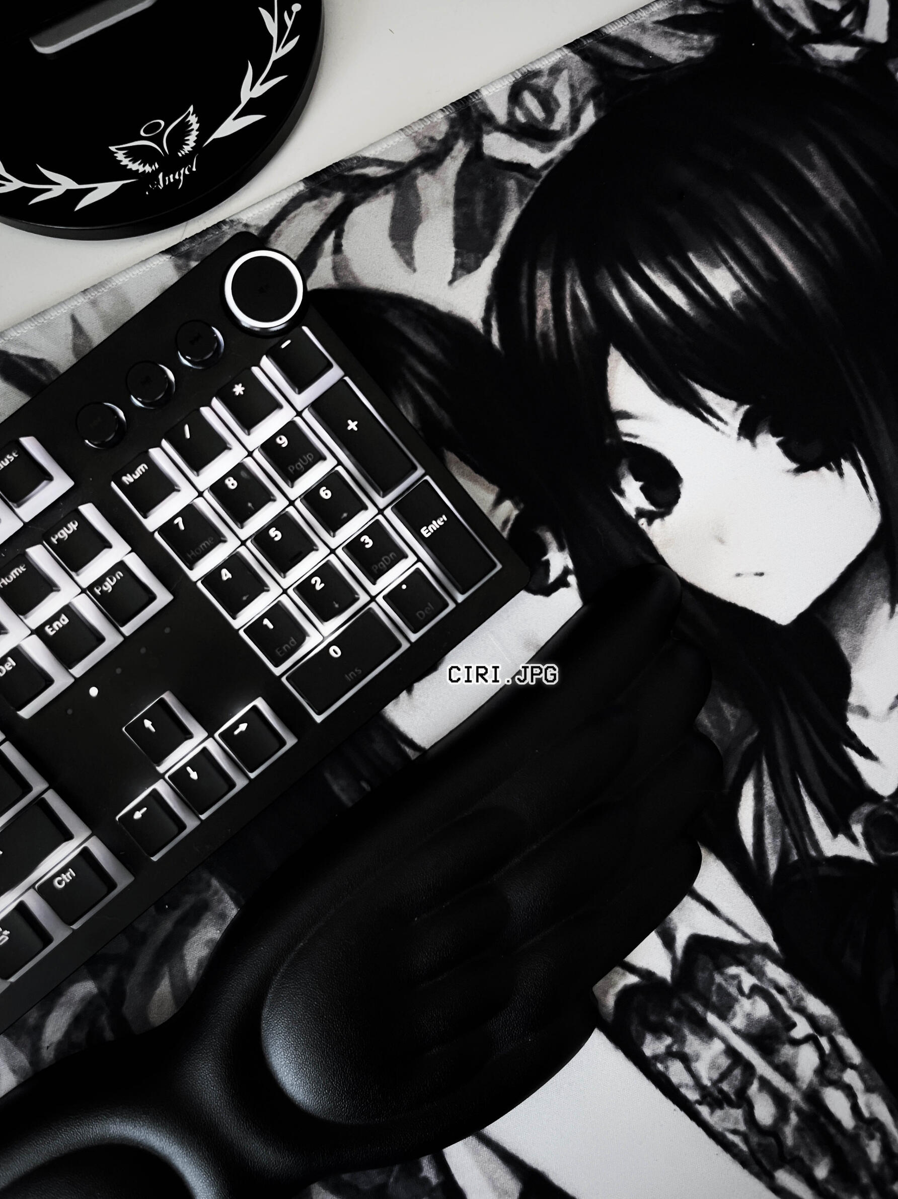 Ciri's Monochrome PC Setup ciri.jpg monochrome pc setup